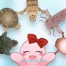 ✟京都花園教会水族館✟子どもの為に入場無料✟寄付運営14年✟外来種問題＆バックヤード系教会水族館 的头像