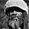 Crypto Rasta's profile picture