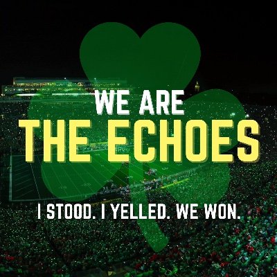 We Are The Echoes's profile picture