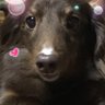 ちろ 的头像