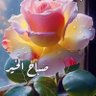 Фото профиля ابوساجده ال غليس