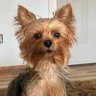 Bob Stuart's profile picture