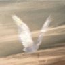 Silver Angel's profile picture