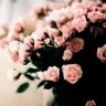 حكايه| ايهيرب DGJ0004 profil fotoğrafı