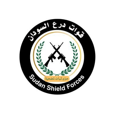 قوات درع السودان's profile picture
