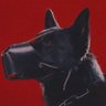 canine profil fotoğrafı