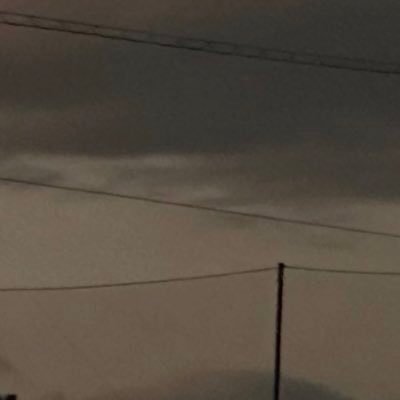 n55_pafu's profile picture