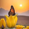 Profilbild von Colibrí 1108