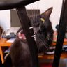 🐈danielitaprofe del 38%🐈's profile picture