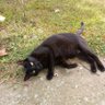 Jonny Naps's profile picture