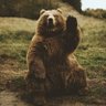 Profilbild von Utku