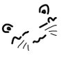 -Sai-'s profile picture