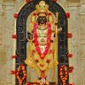 Guruprasad Shenoy 🇮🇳's profile picture