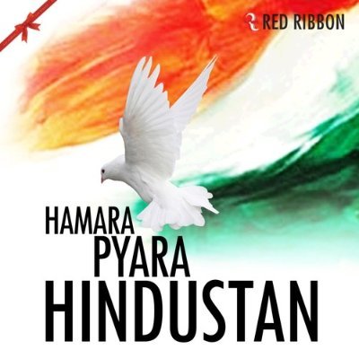 Veer_Bharat_Sainik 🇮🇳's profile picture