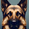 Profilbild von Ron