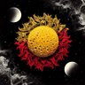 Profilbild von blacksun420-69