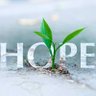 Profilbild von No Hope Lost