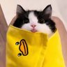 Hii's profile picture