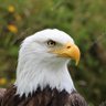 🇺🇸自由世界's profile picture
