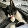 Ana 🍍 profil fotoğrafı