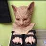 Sefu Donal Bastet😼🔞🏴☠️💸 的头像