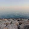 Gioia profil fotoğrafı