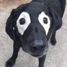 Profilbild von Sam