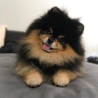 ดื้อนิดหน่อย🤍's profile picture