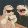 كل يوم صورة معبرة's profile picture