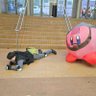 Profilbild von Bowser's Big Bean Burrito