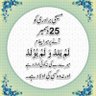 Pari--Zad__Gull's profile picture