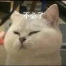 橘子大王 的头像
