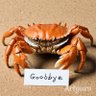 さよならと書いた毛ガニ 的头像