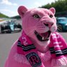Фото профиля Pink Panther 🇮🇱 🇺🇦 -parody, just in case-
