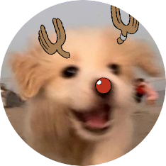 말뽀's profile picture