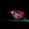 Profilbild von Ratikesh Raut