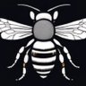 Profilbild von P1c0fly