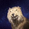 Profilbild von ļīpę ∴ 🦊🔺️🇧🇷🇺🇸