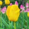 Фото профиля sunnymin