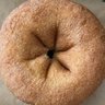 Ahole Fanatic profil fotoğrafı