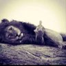 PanamBaby's profile picture
