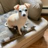 Missy H's profile picture