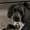 Profilbild von 2025 Nuggets - Pull the Rope