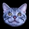 M.'s profile picture