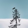 Amutha's profile picture