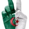 Ammari abdelhafid 的头像