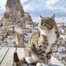 achajetan555 profil fotoğrafı