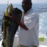 B Sample's profile picture