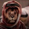 بدر الشمري's profile picture