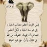 إسماعيل profil fotoğrafı